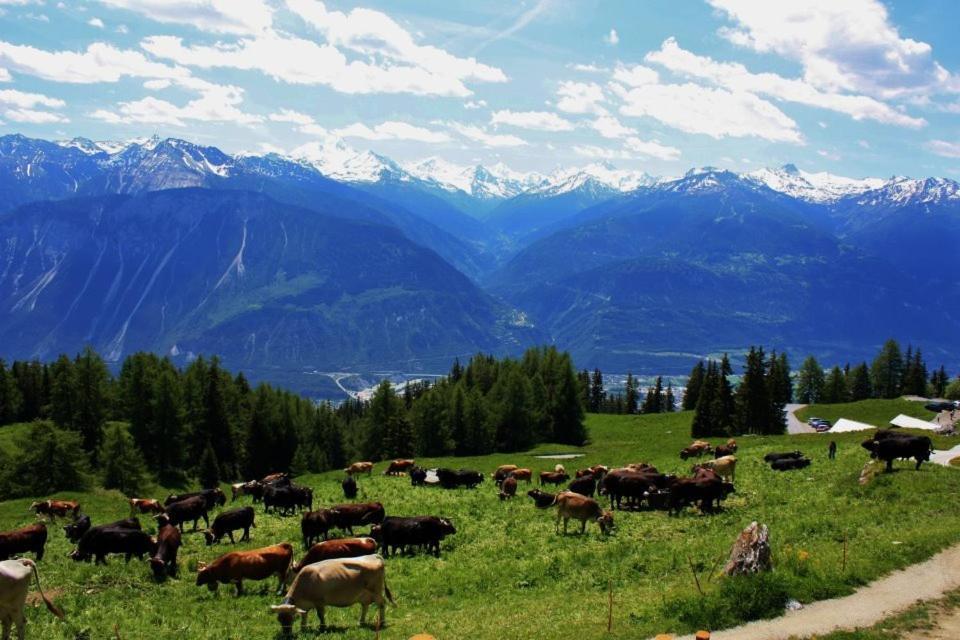 Le Mayen De Colombire Crans-Montana Exteriör bild